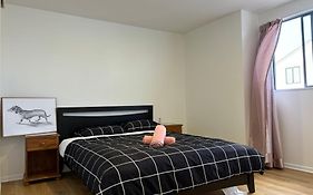 New Lynn Tidy House